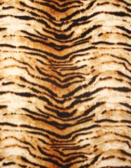 Tiger and Strip Pattern Winter Scarf